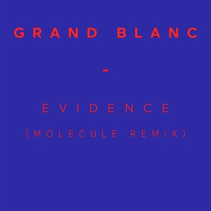 Evidence (Molecule Remix)