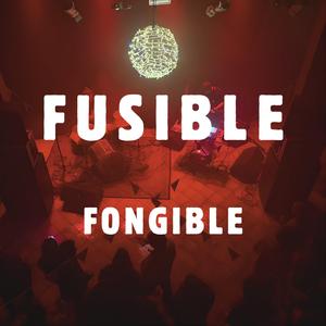 Fongible