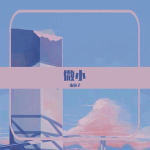微小