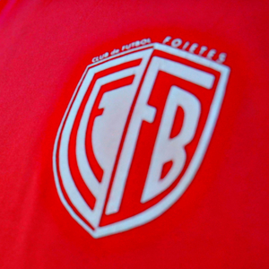 Gritamos Gol (Versión Oficial)