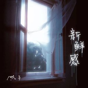 新鲜感（0.8X）