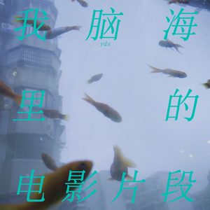 我脑海里的电影片段