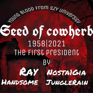 王不留行2021cypher