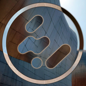 Randomized Funk (Original Mix)