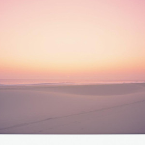 たぶん明日も頑張れる