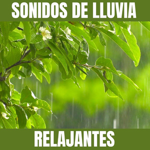 Lluvia Relajante