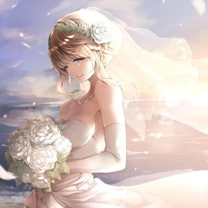 梦中的婚礼（胖胖专属）