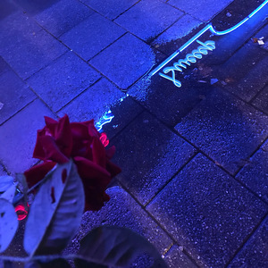 ･ ｡ ☆∴｡ * ･ﾟ*｡･ ･ *ﾟ｡