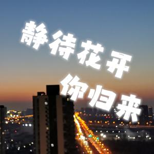 静待花开你归来