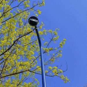 星空（吉他温柔版）