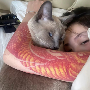 爱的痛苦与回应