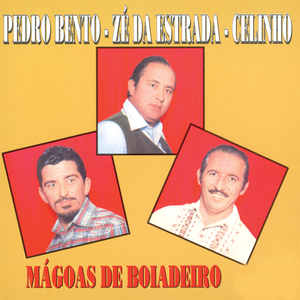 Irmao Do Ferreirinha (1999 Digital Remaster)