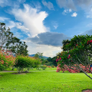 伤感情（纯音乐）