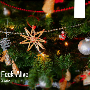 FEEK ALIVE