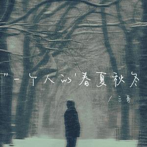 一个人的春夏秋冬（伴奏）