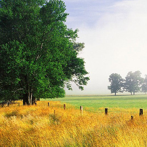 Gladiators Never Die