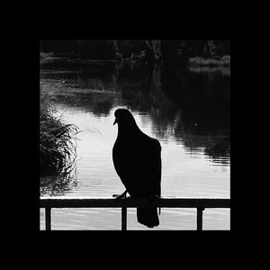 Символ (remix)