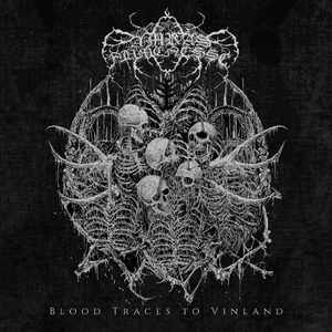 Blood Traces to Vinland