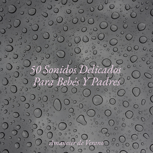 Sinfonía de Hechizo Brumoso