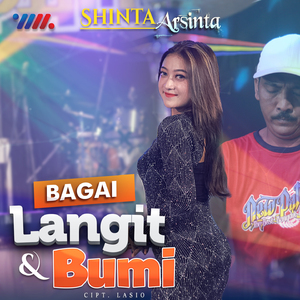 Bagai Langit Dan Bumi