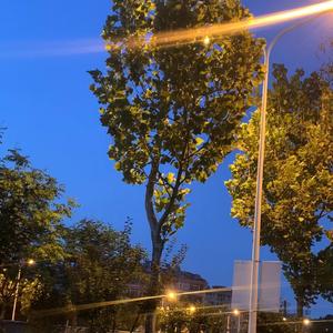 我的眼里只有你