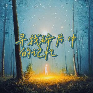 寻找碎片中的记忆