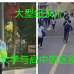 是时间给高中加了分还是现实给大学褪了色（大型纪录片）