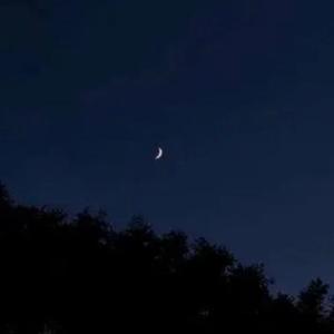 异类（Prod.Yutakastillonhere）