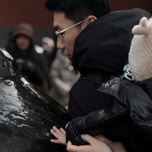 春夏秋冬又一春