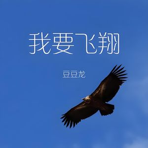 我要的飞翔