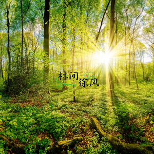 心灵之泉 (中国扬琴)