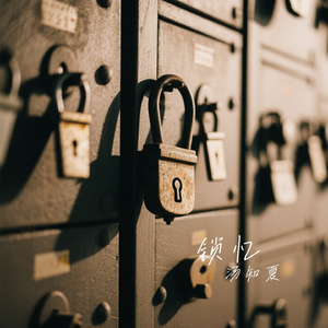 锁忆