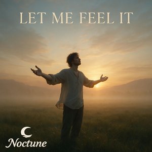 Let Me Feel It