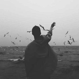 我总在春天想起你