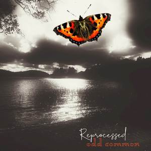 Sunday Special - Minimal