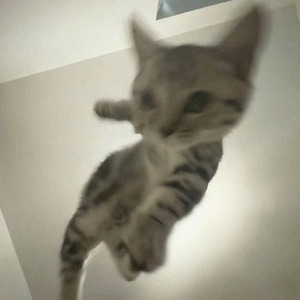Noooo!