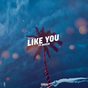 Like You (feat. Boz1r)