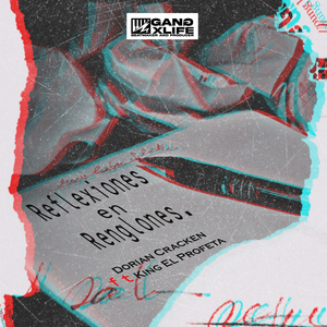 Reflexiones en renglones