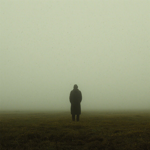 某年某月的某一天