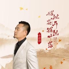 错过花开错过叶落 (DJ默涵版)