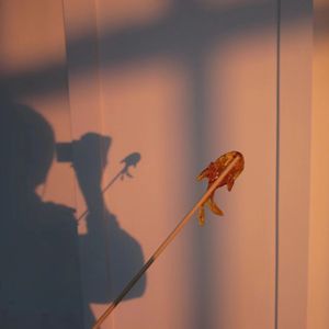 遇爱-整曲 伴奏