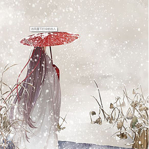 雪落在先生肩上