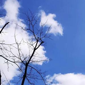 The Kid LAROI-期待（demo）（曹小pei remix）