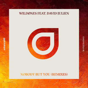 Nobody But You (Ariel & Danilo vs. Mateusz Remix)