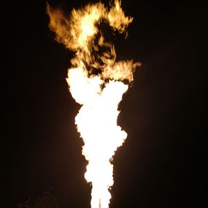 生命颂歌