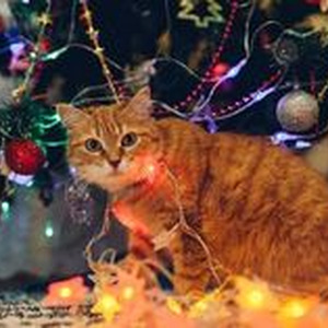 Drop The World (slowed)