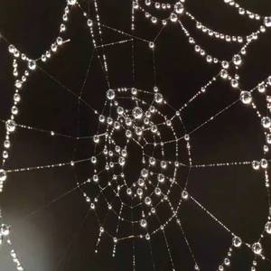 流星不耐烦了叫我别再向它许愿了（prod by LGL）