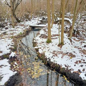 je_ży_ - Ой там на горі / Oi tam na gori (feat. гурт "Древо")