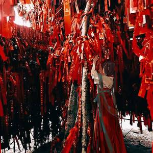 Time After Time~花舞う街で~