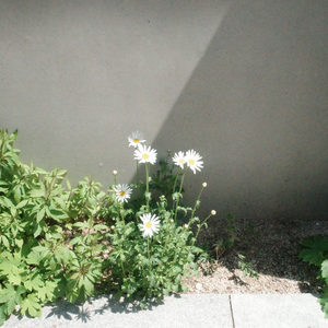 인생을 잠깐 멈출 순 없나요? (with 오늘)